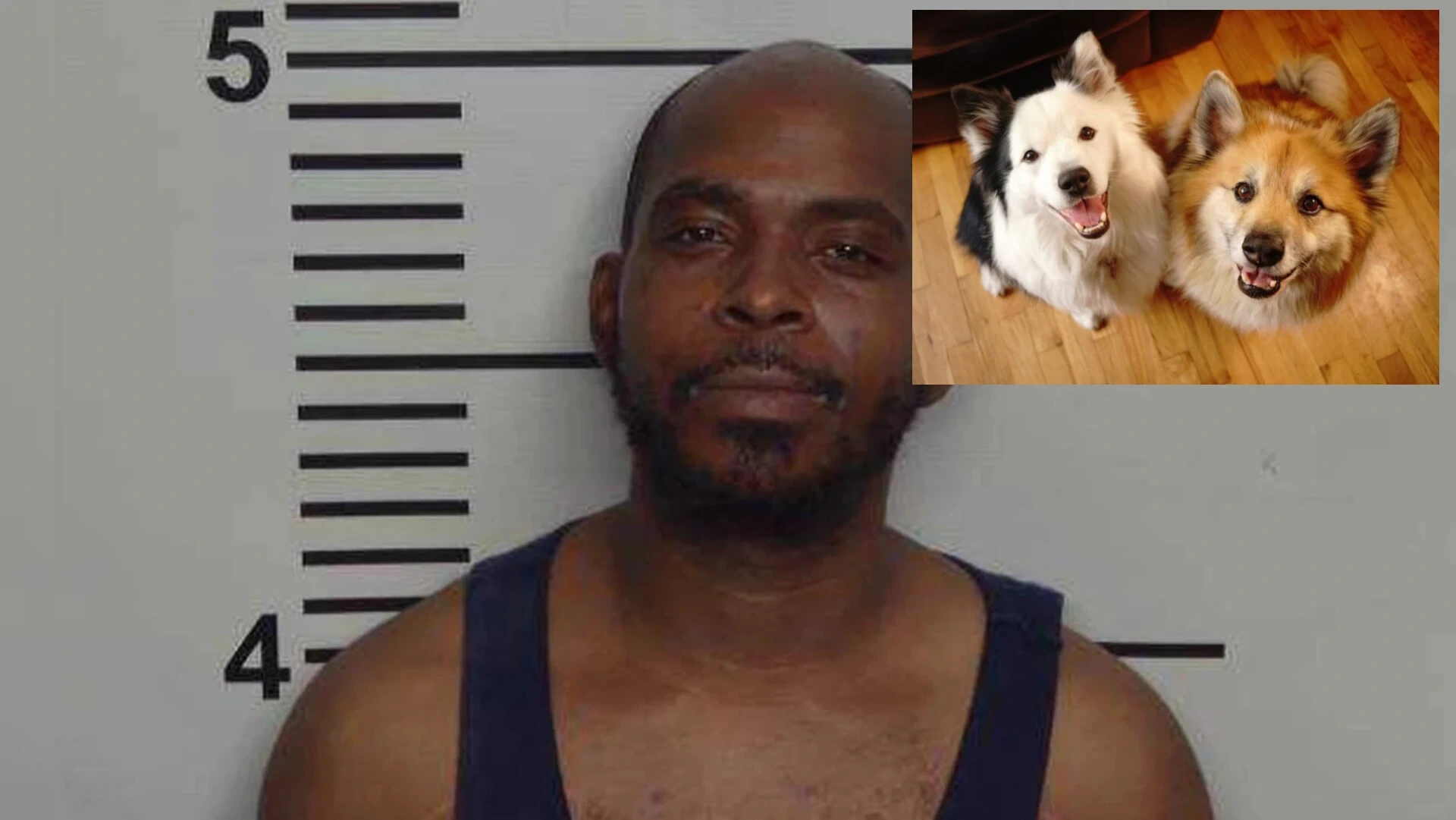 "I'm going after your dogs!" Kentucky Man Threatens to Shoot Wife Then Sets Her Dogs on Fire After Affair Exposed
